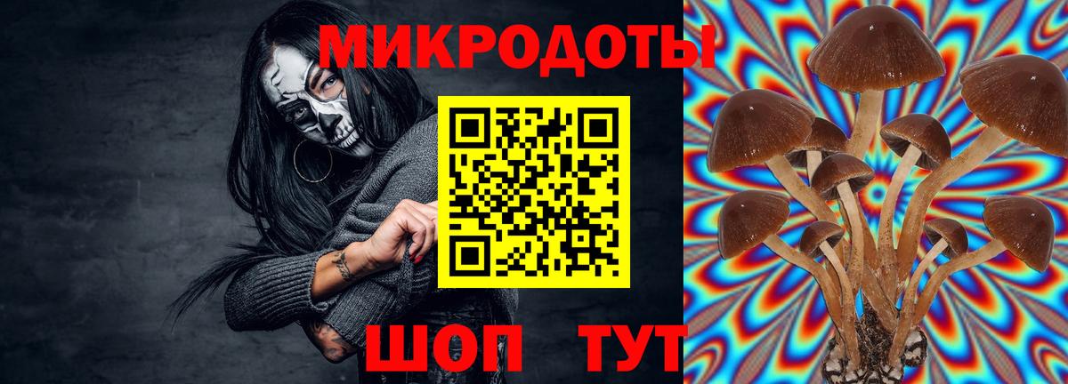 Белореченск  Галлюциногенные грибы Cubensis  Вход с VPN 